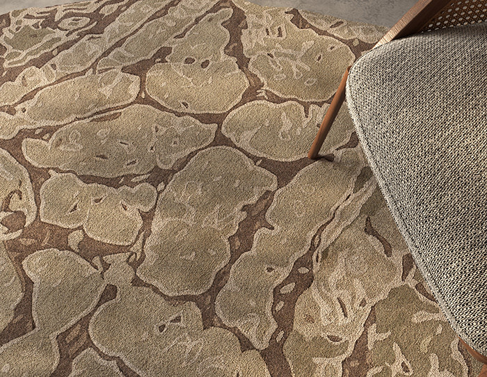 brown_shaggy_rug